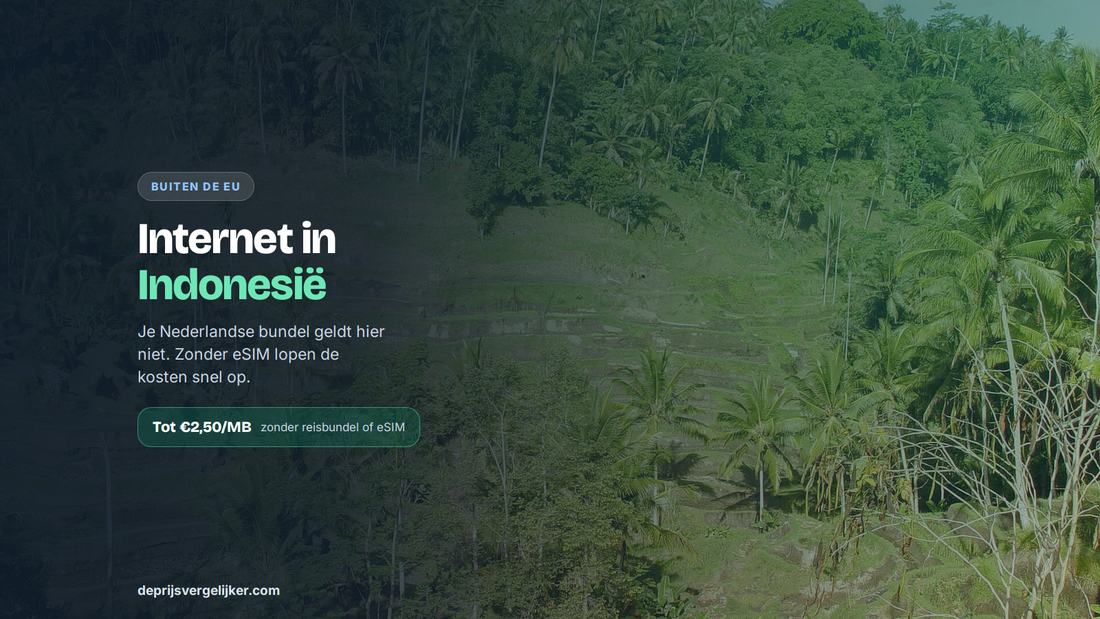 Internet en bellen in Indonesië: buiten de EU, zonder eSIM tot 2,50 euro per MB